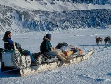 Εσείς γνωρίζατε τι τρώνε οι Εσκιμώοι για να ζεσταθούν;